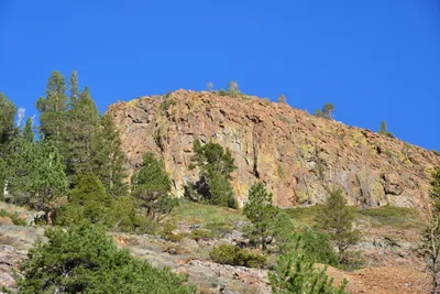 DSC_7834 (Large).JPG